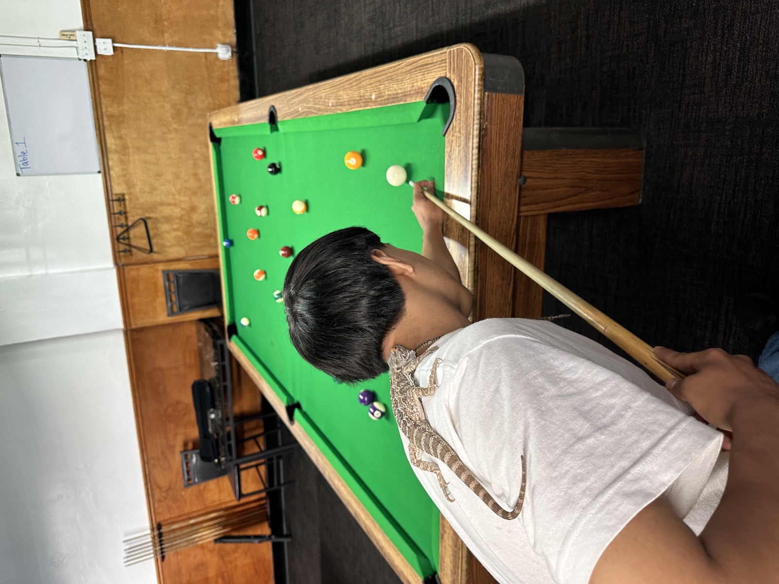 A player lining up a shot on green felt